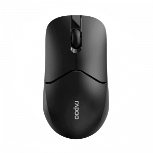 Мышь RAPOO 1510